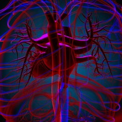 Human Heart Anatomy For Medical Concept 3D Rendering