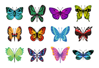 Fototapeta na wymiar Collection of color butterfly. Hand drawn moth wings or insects. Tropical animals. Isolated vector icons set