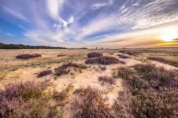 Foto op Plexiglas Betoverend landschap landschap van heide © creativenature.nl