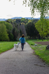 Fototapeta premium lady walking with her dog
