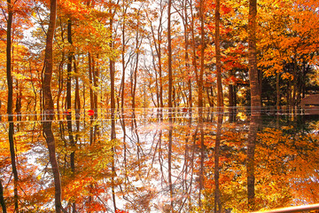 秋の空気神社（山形県朝日町）
