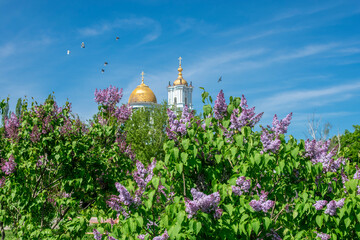 Blooming lilacs against the background of an Orthodox church.