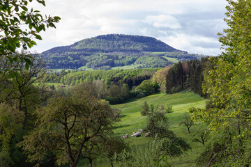 Fototapeta na wymiar german green landscape