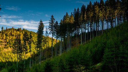 Hiking on Piatra Craiului mountain ridge
