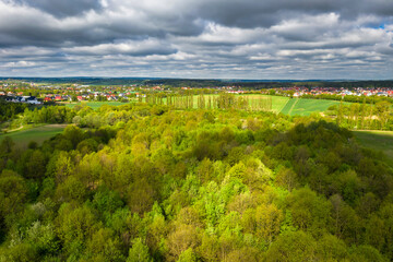 Beautiful scenery of the forest in Poland at spring.