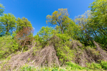 Fototapety na wymiar - Fototapeta24.pl