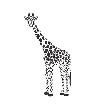 Giraffe silhouette. Abstract vector illustration.