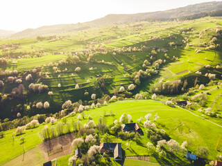 Spring landscape in Slovakia. Polana region, Hrinova. Green spring rural hills landscape, fields, flowering trees, organic farming © Zedspider