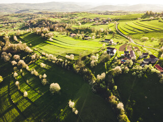 Spring landscape in Slovakia. Polana region, Hrinova. Green spring rural hills landscape, fields, flowering trees, organic farming © Zedspider