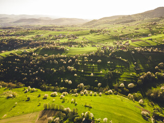 Spring landscape in Slovakia. Polana region, Hrinova. Green spring rural hills landscape, fields, flowering trees, organic farming © Zedspider
