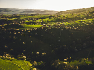 Spring landscape in Slovakia. Polana region, Hrinova. Green spring rural hills landscape, fields, flowering trees, organic farming © Zedspider