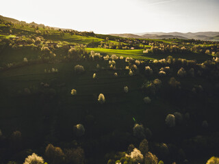 Spring landscape in Slovakia. Polana region, Hrinova. Green spring rural hills landscape, fields, flowering trees, organic farming © Zedspider