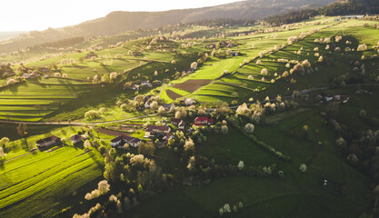 Spring landscape in Slovakia. Polana region, Hrinova. Green spring rural hills landscape, fields, flowering trees, organic farming © Zedspider