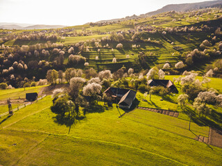 Spring landscape in Slovakia. Polana region, Hrinova. Green spring rural hills landscape, fields, flowering trees, organic farming © Zedspider