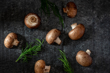 mushrooms on dark gray background studio dark mood style food 
