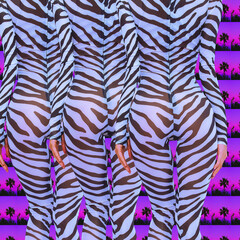 Fototapeta na wymiar Contemporary digital funky minimal collage poster. Fashion zebra Ladies back front. Back in 90s. Pop art zine fashion, music, clubbing culture.