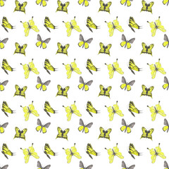 Yellow watercolor butterfly seamless pattern on a white background. Butterflies' endless print. Cute butterflies illustration. Cute colorful hand-drawn butterfly backdrop. Bright wallpaper.