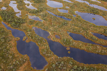 Aerial view of swamp and wooden path in Kemeri national park during sunrise, Latvia.