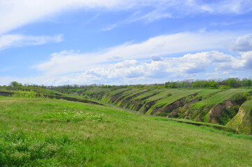 Beautiful huge green plains, field, grass, flowers, blue sky, white clouds. Nature, landscape.