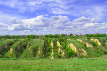 Beautiful huge green plains, field, grass, flowers, blue sky, white clouds. Nature, landscape.