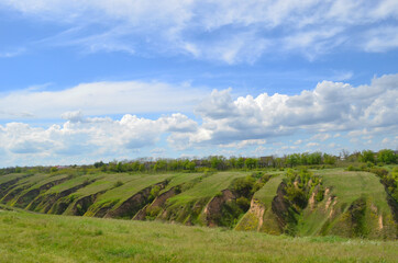 Beautiful huge green plains, field, grass, flowers, blue sky, white clouds. Nature, landscape.