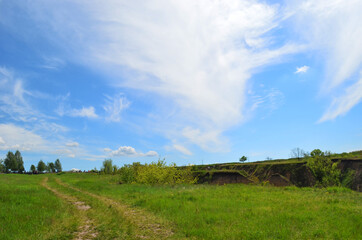 Beautiful huge green plains, field, grass, flowers, blue sky, white clouds. Nature, landscape.