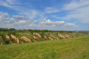 Beautiful huge green plains, field, grass, flowers, blue sky, white clouds. Nature, landscape.
