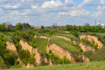 Beautiful huge green plains, field, grass, flowers, blue sky, white clouds. Nature, landscape.