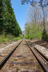 Fototapeta premium 塔のへつり駅方面から見た会津鉄道のレール