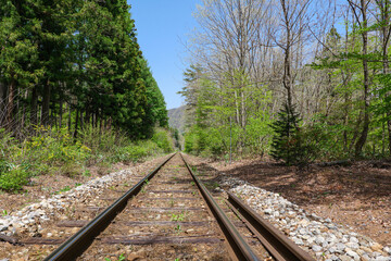 Fototapeta premium 塔のへつり駅方面から見た会津鉄道のレール