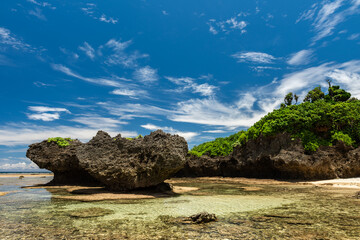 View from the coral reef. Platform in the low tide showing natural pool, rock formation typical from coast. Blue sky and vegetation up on cliff. Iriomote Island. © Renata Barbarino