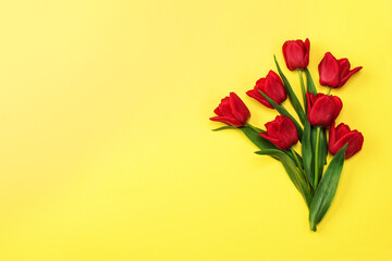 red tulips on a yellow background, flat lay, copy space. Flower background