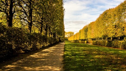 A beautiful geometric view of the gardens of the Palace of Versailles