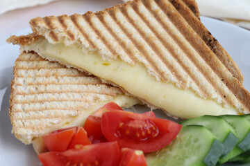 Cheddar toast on wooden background