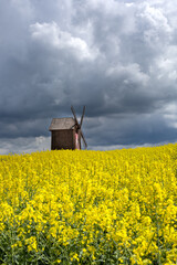 very old wooden windmill in rapseed field and sand road with dramatic storm clouds in background. vertical photo