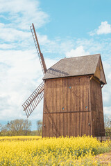 wooden windmill in the rape field. blue sky with clouds	