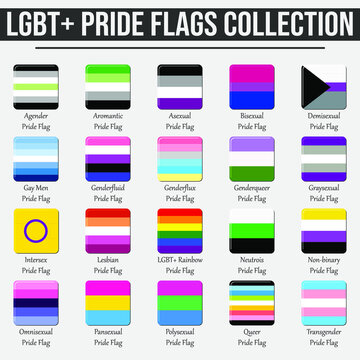 LGBT+ flags collection. Pride set of 20 square icons. Sexual orientation list. Vector illustration with isolated background