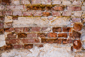 Old ruins in the green forest side