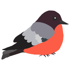 illustration of a bird ussurian bullfinch 