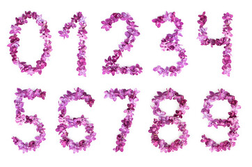 Numbers from zero to nine made of lilac flowers isolated on a white background. Top view. 1,2,3,4,5,6,7,8,9,0.
