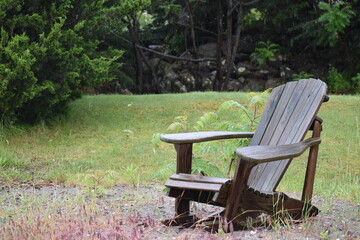 bench in the park