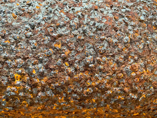 Surface texture of old metal iron swollen reddish orange surface of rusty bad pipe. Close view. The background