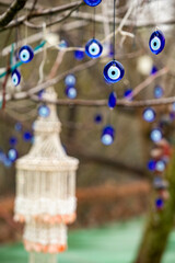 Evel Eyes on tree branch. Local name nazar boncukları