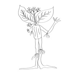 Siren head nature concept in line art and coloring page illustration vector