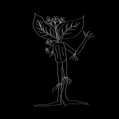 Siren head nature legend mythology creature concept in line art illustration vector