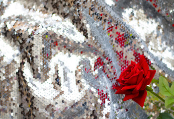 Bright scarlet rose on a shiny silver fabric. Shining material with a beautiful flower. Place for your text. Flat lay