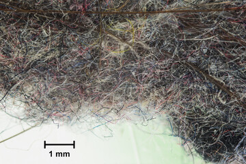House dust with many fibers, microplastics and dirt particles as a microphotograph with a scale
