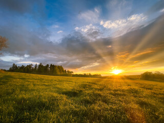 Obraz premium sunset over field