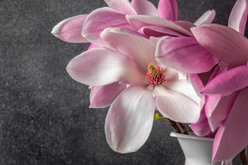 Obraz na płótnie Canvas Pink magnolia flowers on black background. wedding or holiday concept. close up