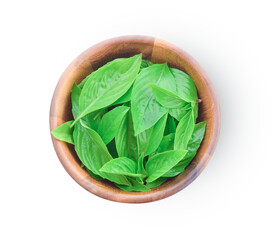 Sweet basil leaves fresh in a bowl, Isolated on white background.